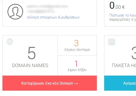 Πεδίο πληροφοριών domains στον πίνακα ελέγχου DNHOST