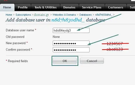 Φόρμα στοιχείων χρήστη database στο plesk panel 11