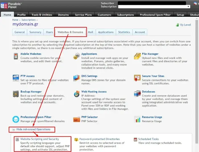 Επιλογή website scripting and security στο Plesk Panel