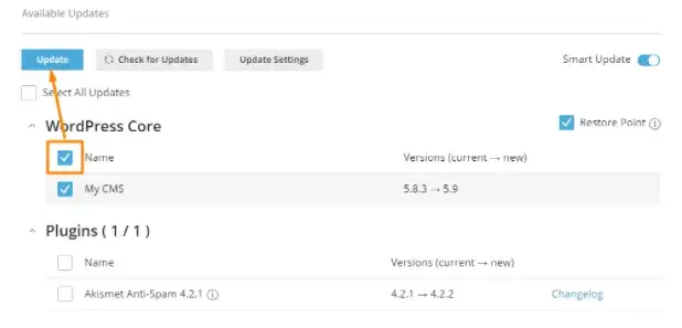 Ενημέρωση WordPress theme, εγκατάστασης και plugins με το WP Smart Updates